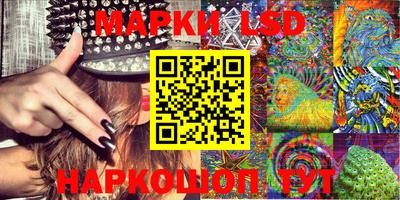 spice Моздок