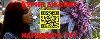 spice Моздок