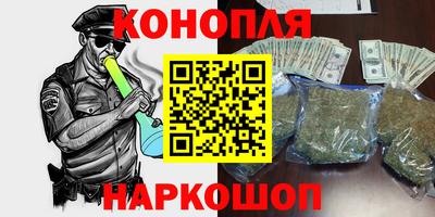 прущие грибы Можайск