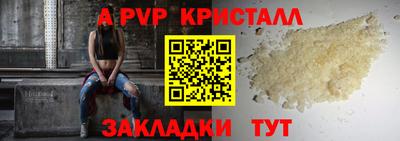 прущие грибы Можайск