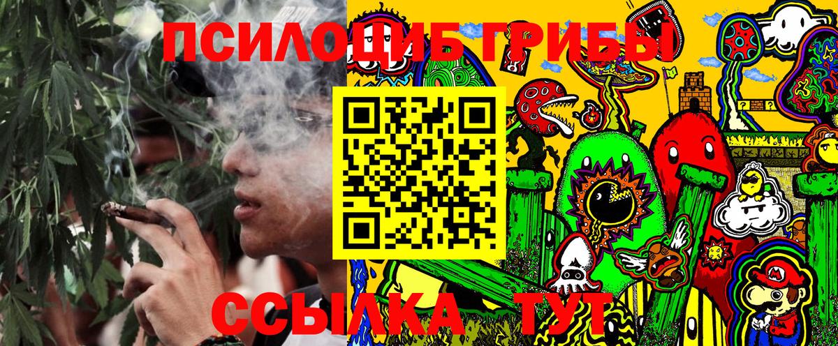 Галлюциногенные грибы Cubensis Черняховск