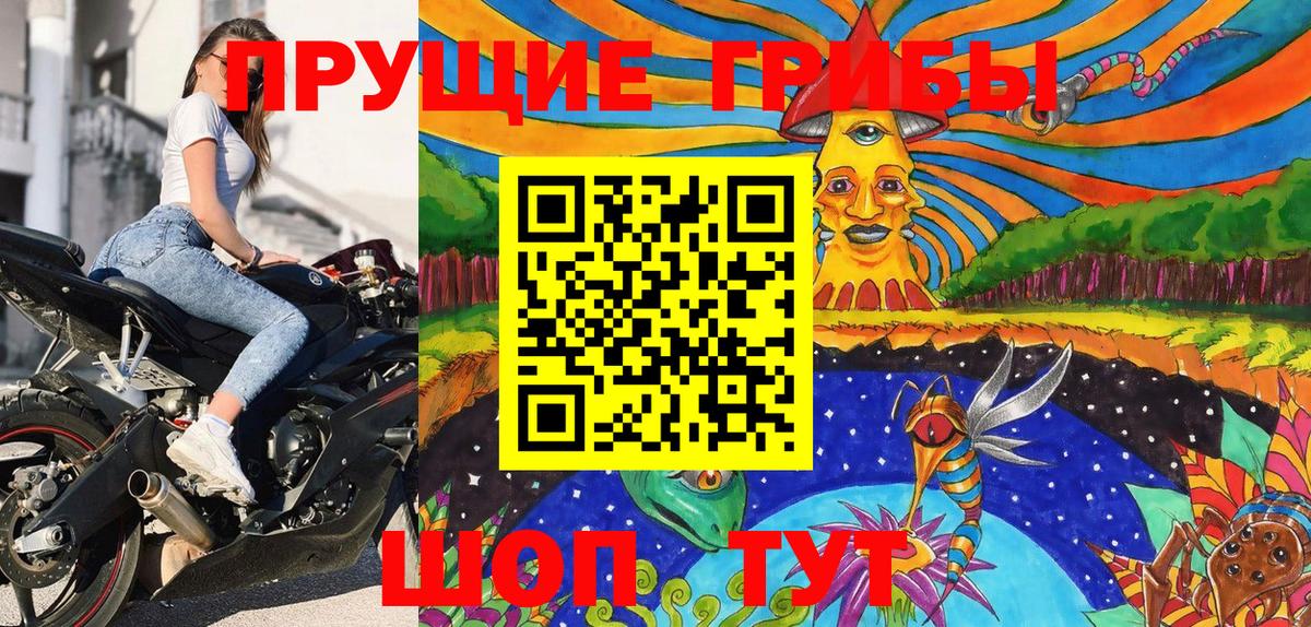 Псилоцибиновые грибы GOLDEN TEACHER  Вход с VPN  Черняховск 